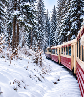 kukushka train journey through snowy pine forest from borjomi to bakuriani georgia